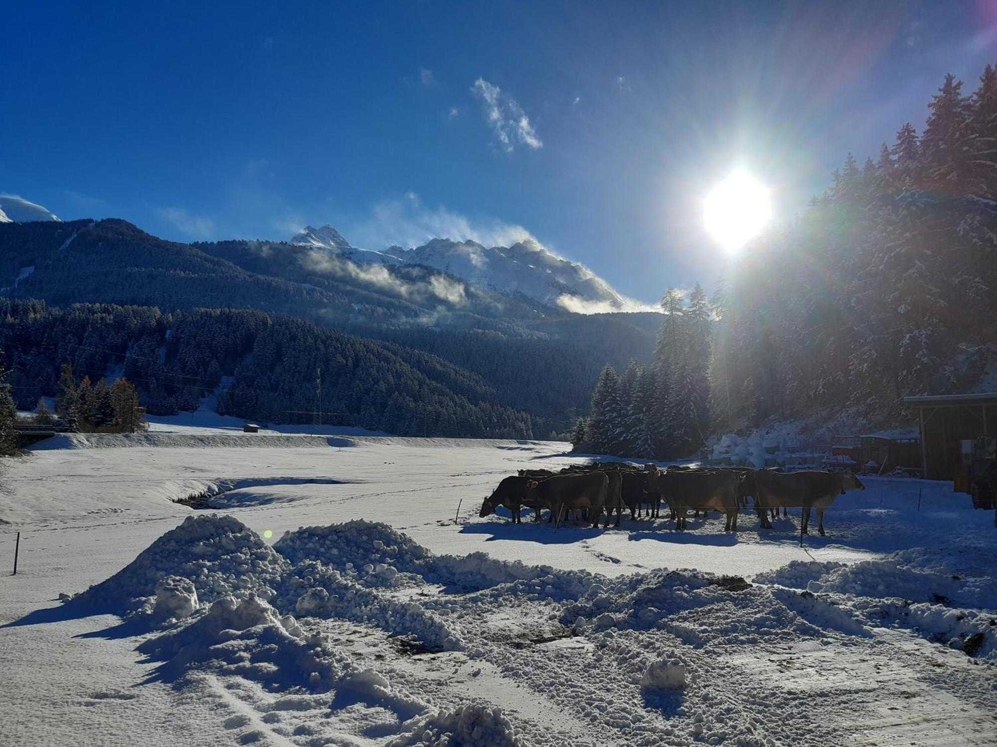 Valrunzhof Direkt Am Seilbahncenter Villa Nauders Bagian luar foto